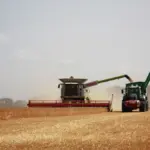 Select the Right Rice Milling Machine: A Step-by-Step Approach to Boosting Your Processing Efficiency