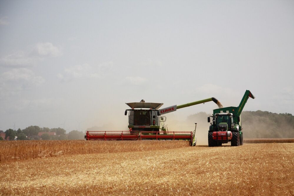 Select the Right Rice Milling Machine: A Step-by-Step Approach to Boosting Your Processing Efficiency