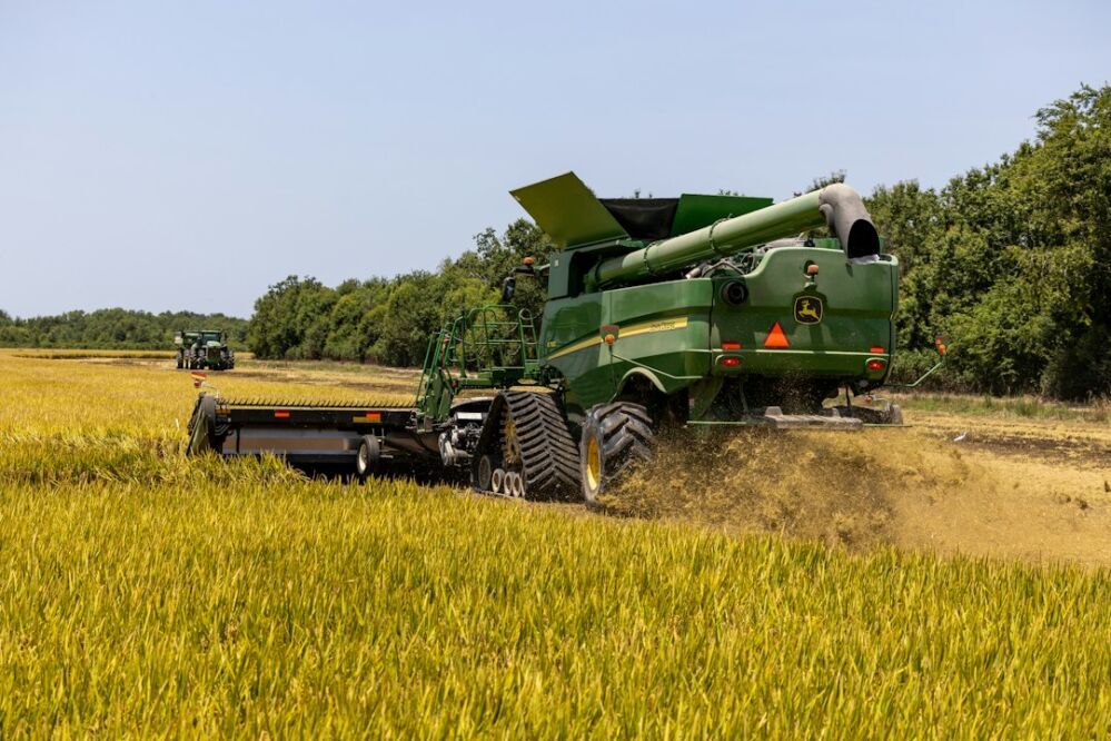 Decoding Rice Processing: The Hidden Costs of Outdated Equipment in Modern Agriculture 2 The Illusion of Savings: Why Sticking to Old Equipment Can Lead to Greater Financial Losses in Rice Production