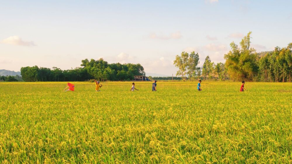Polishing Dreams: The Personal Stories of Rice Polishers and Their Impact on Lives