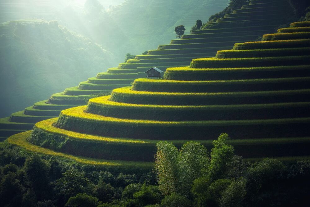 Common Misconceptions About Mini Rice Mill Plants and How to Avoid Costly Mistakes