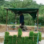 Decoding Rice Processing: The Hidden Costs of Outdated Equipment in Modern Agriculture