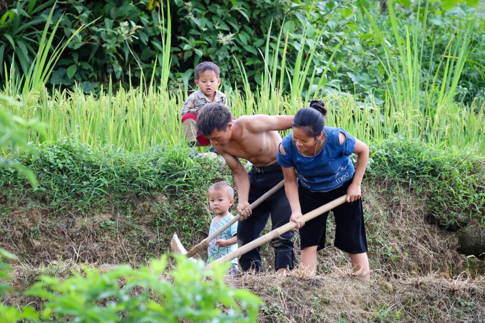 Polishing Dreams: The Personal Stories of Rice Polishers and Their Impact on Lives 1 Navigating Adversity: How Rice Polishers Overcome Challenges and Transform Lives