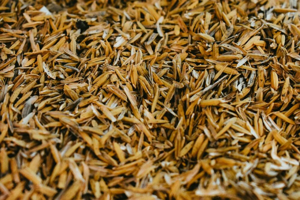 The Role of Combined Mini Rice Mills in Sustainable Agriculture: Background, Functionality, and Potential Impact 2 Enhancing Productivity: The Role of Technology in Modern Rice Milling Solutions