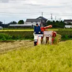 The Two-Bag Test: What a Mini Rice Polisher Taught a Small Miller About Patience and Polish