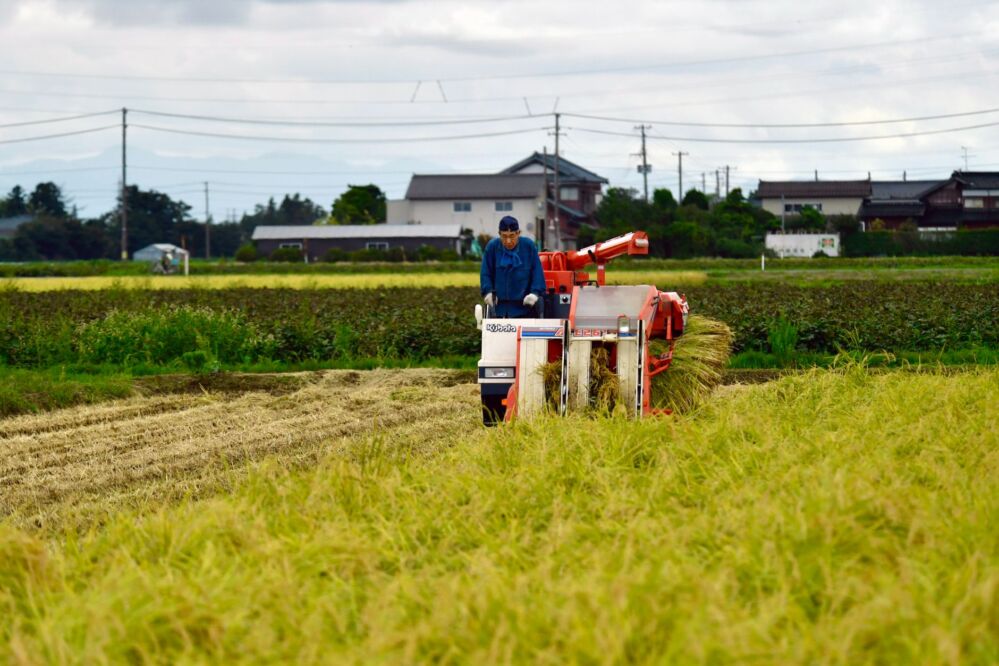The Two-Bag Test: What a Mini Rice Polisher Taught a Small Miller About Patience and Polish
