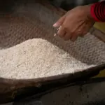 Shining a Light on Tradition: The Mini Rice Polisher's Role in Reviving Rural Heritage