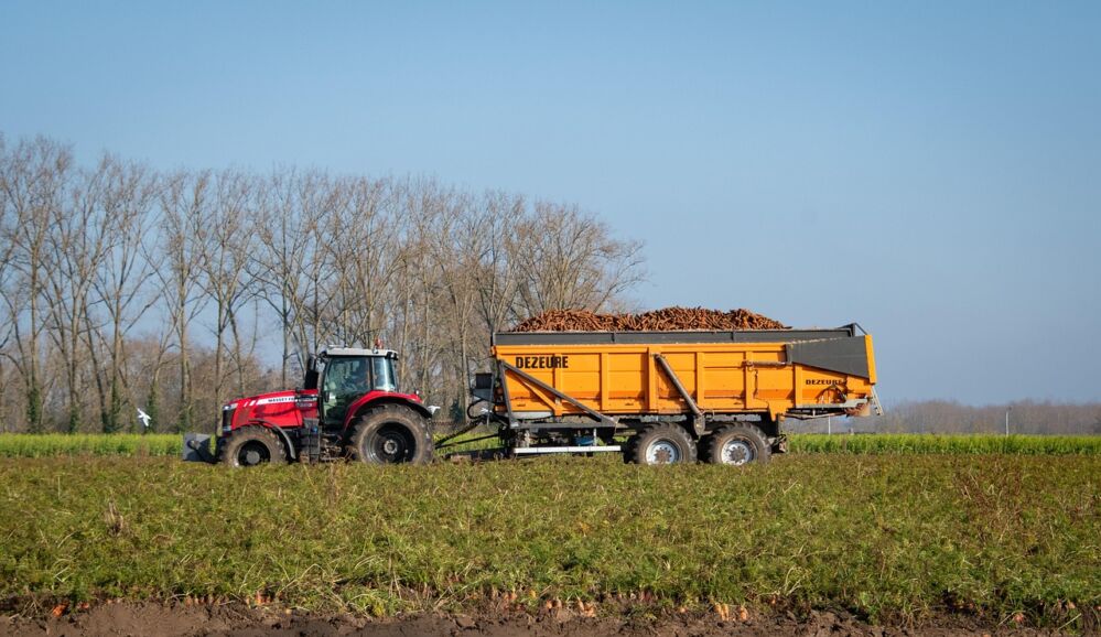 What to Look for When Buying a Combine Mini Rice Mill: A Practical Checklist 2 Common Misconceptions About Combine Mini Rice Mills and How to Avoid Costly Mistakes