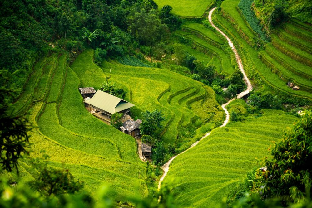 Precision Engineering in Paddy Processing Factories: Evaluating Process Technologies, Performance Standards, and Operational Specifications 2 Evaluating Performance Standards in Paddy Processing: Balancing Quality and Operational Efficiency