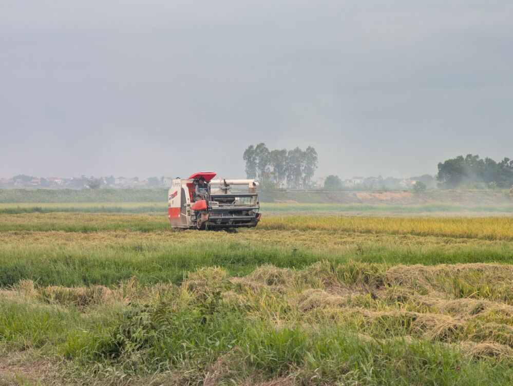 Avoid Costly Downtime: Essential Maintenance Tips for Your Portable Rice Milling Machine